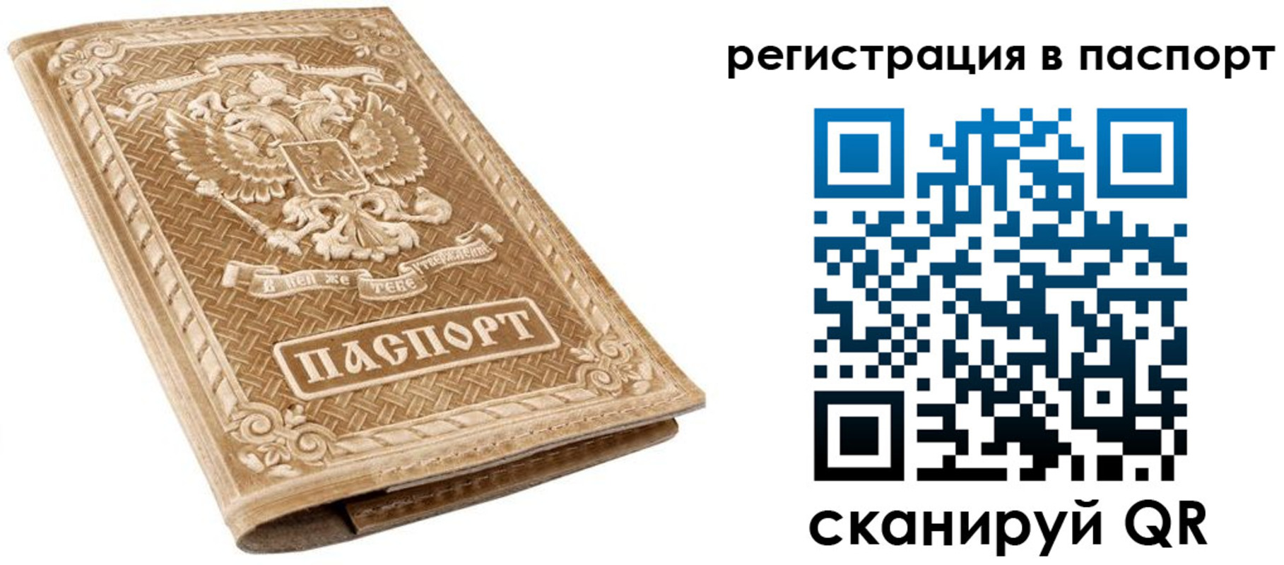 прописка в Красном Куте